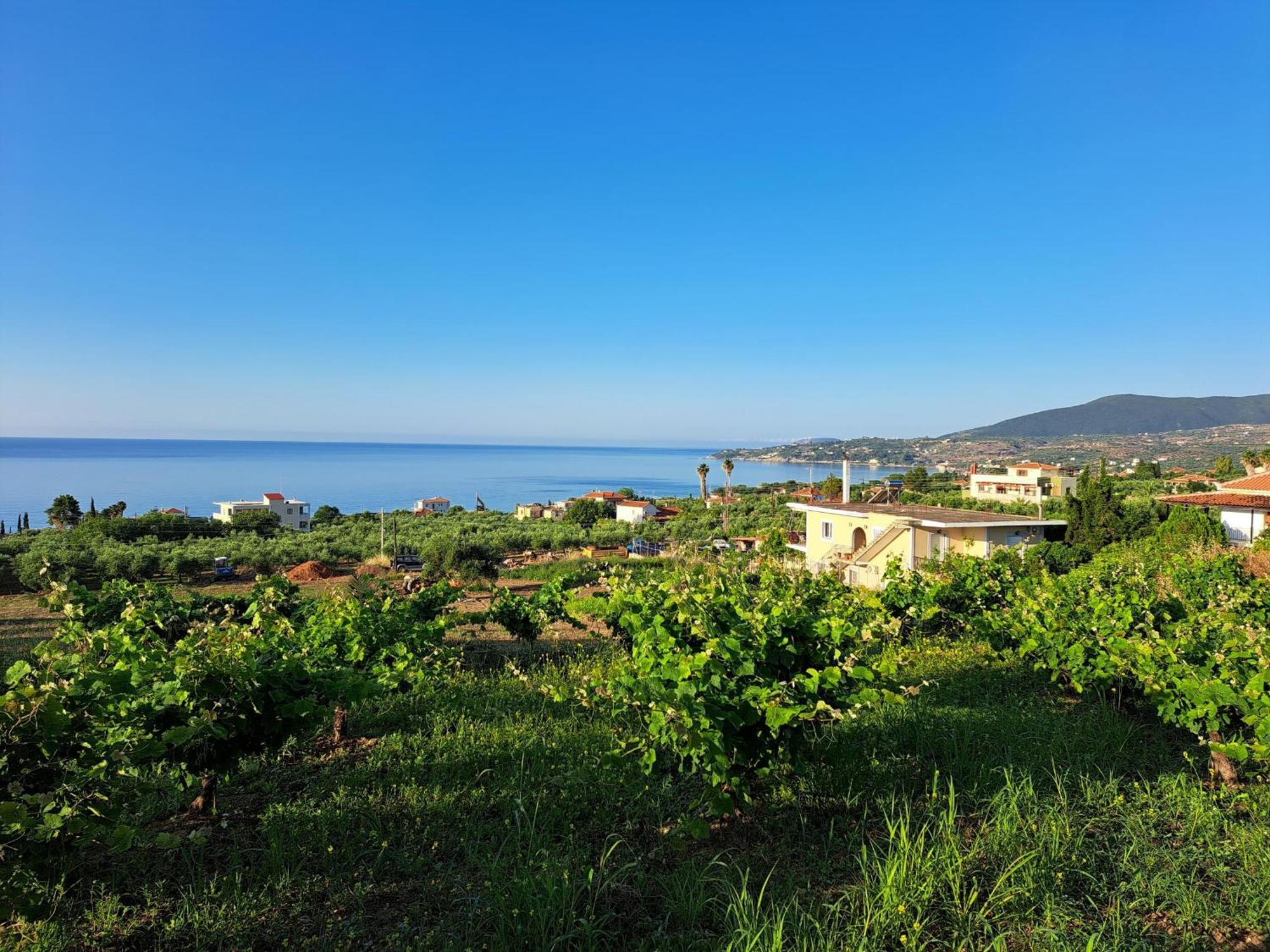 Takis Bizos House 1 Villa Koroni  Exterior photo
